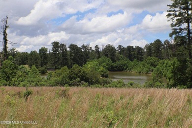 Discover a rare opportunity in the heart of the Brandon 39047 - photo 18
