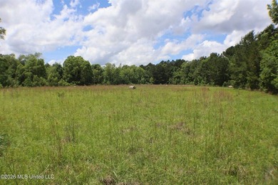 Discover a rare opportunity in the heart of the Brandon 39047 - photo 19
