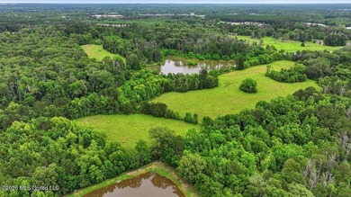 Discover a rare opportunity in the heart of the Brandon 39047 - photo 20