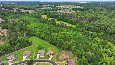 Discover a rare opportunity in the heart of the Brandon 39047 - photo 21