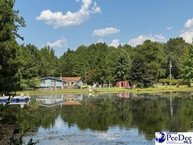 Lake Home For Sale in Chesterfield, South Carolina