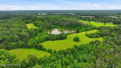 Discover a rare opportunity in the heart of the Brandon 39047 - photo 22