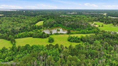 Discover a rare opportunity in the heart of the Brandon 39047 - photo 23