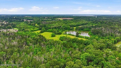 Discover a rare opportunity in the heart of the Brandon 39047 - photo 24