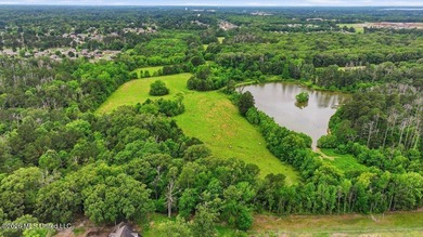 Discover a rare opportunity in the heart of the Brandon 39047 - photo 25