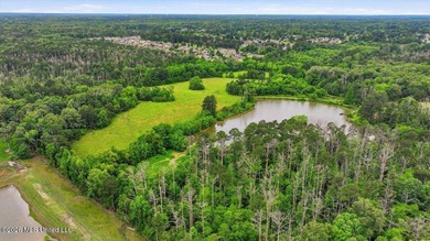 Discover a rare opportunity in the heart of the Brandon 39047 - photo 27