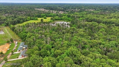 Discover a rare opportunity in the heart of the Brandon 39047 - photo 28