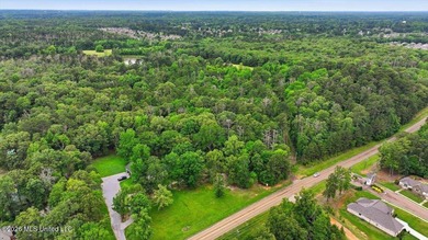 Discover a rare opportunity in the heart of the Brandon 39047 - photo 29
