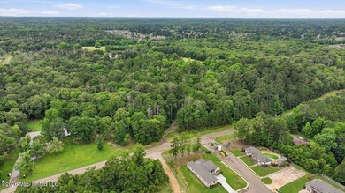 Discover a rare opportunity in the heart of the Brandon 39047 - photo 30