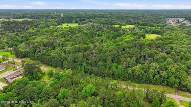 Discover a rare opportunity in the heart of the Brandon 39047 - photo 32