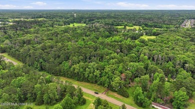 Discover a rare opportunity in the heart of the Brandon 39047 - photo 33