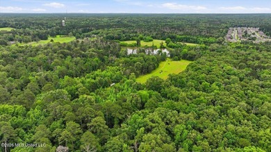 Discover a rare opportunity in the heart of the Brandon 39047 - photo 34