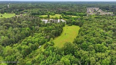 Discover a rare opportunity in the heart of the Brandon 39047 - photo 35