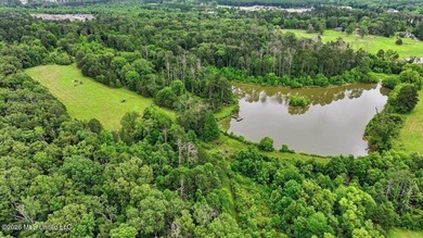 Discover a rare opportunity in the heart of the Brandon 39047 - photo 38