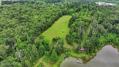 Discover a rare opportunity in the heart of the Brandon 39047 - photo 40