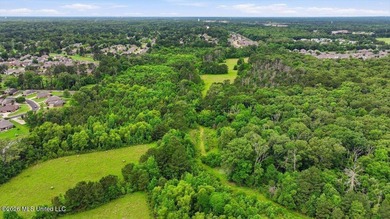 Discover a rare opportunity in the heart of the Brandon 39047 - photo 41