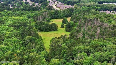 Discover a rare opportunity in the heart of the Brandon 39047 - photo 42