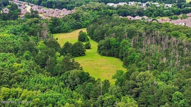 Discover a rare opportunity in the heart of the Brandon 39047 - photo 43