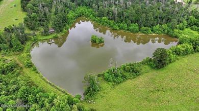 Discover a rare opportunity in the heart of the Brandon 39047 - photo 45