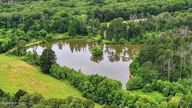 Discover a rare opportunity in the heart of the Brandon 39047 - photo 46