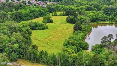 Discover a rare opportunity in the heart of the Brandon 39047 - photo 47