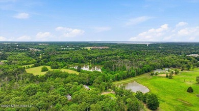 Discover a rare opportunity in the heart of the Brandon 39047 - photo 48