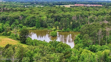 Discover a rare opportunity in the heart of the Brandon 39047 - photo 49