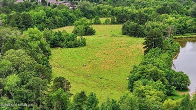 Discover a rare opportunity in the heart of the Brandon 39047 - photo 50