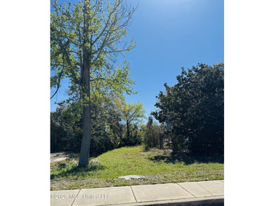 Prime commercial lot located in the heart of downtown Pascagoula - photo 1