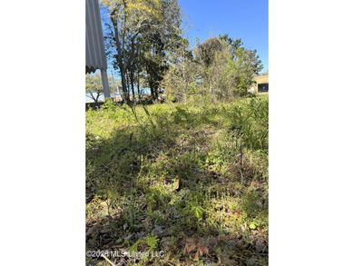 Prime commercial lot located in the heart of downtown Pascagoula - photo 2