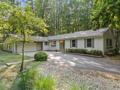 (private lake, pond, creek) Home For Sale in Canadian Lakes Michigan