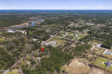 Over 5 acres conveniently located in Ocean Springs! Enjoy easy - photo 6