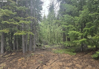 Lake Lot For Sale in Crescentlake, Oregon