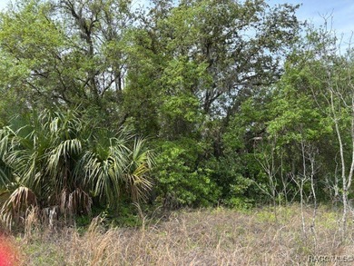 Lake Rousseau Lot For Sale in Dunnellon Florida