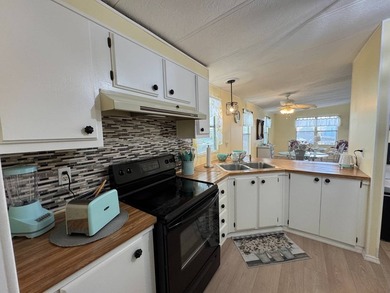 Beautifully Renovated & Move-In Ready ***Park Requirements: This - photo 13