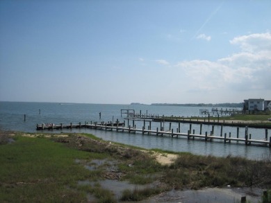1/748 Direct Chincoteague Bay lot w/ approx 50' of bulkhead - photo 24