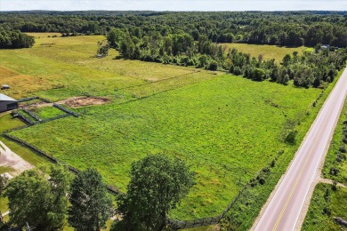 Lake Acreage Sale Pending in Morley, Michigan