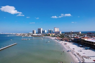 Imagine an EXQUISITE PENTHOUSE whose sweeping vistas stretch - photo 46