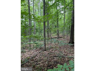 This 2.5 acre wooded property a gem! Enjoy this water access lot - photo 1