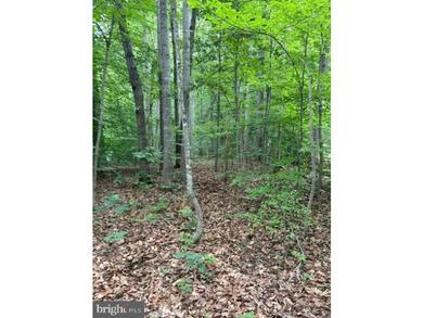 This 2.5 acre wooded property a gem! Enjoy this water access lot - photo 6