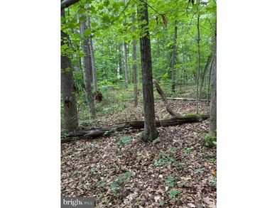 This 2.5 acre wooded property a gem! Enjoy this water access lot - photo 9