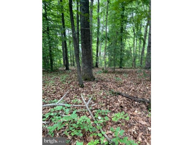 This 2.5 acre wooded property a gem! Enjoy this water access lot - photo 10