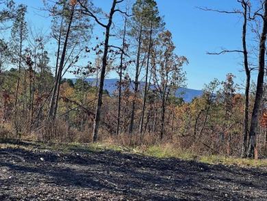 Lake Acreage For Sale in Waldron, Arkansas