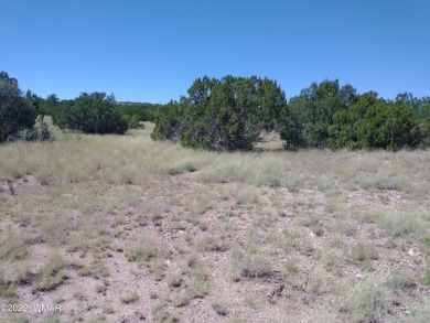 Concho Lake Lot For Sale in Concho Arizona
