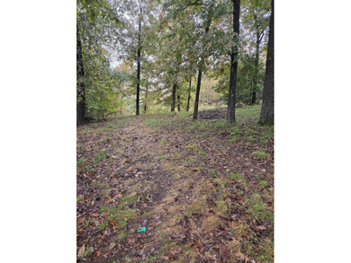 Build your dream home or weekend getaway on this stunning