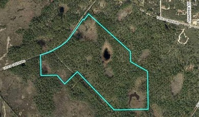 This expansive 81.58-acre property offers a unique blend of - photo 11