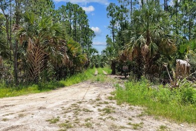 This expansive 81.58-acre property offers a unique blend of - photo 13