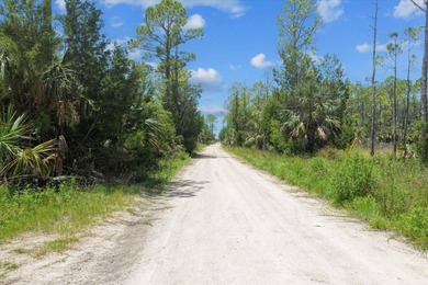 This expansive 81.58-acre property offers a unique blend of - photo 14