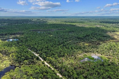 This expansive 81.58-acre property offers a unique blend of - photo 15