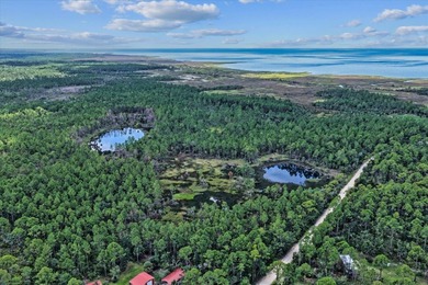 This expansive 81.58-acre property offers a unique blend of - photo 16